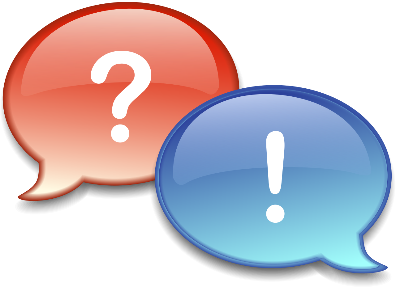 QUERY SECTION